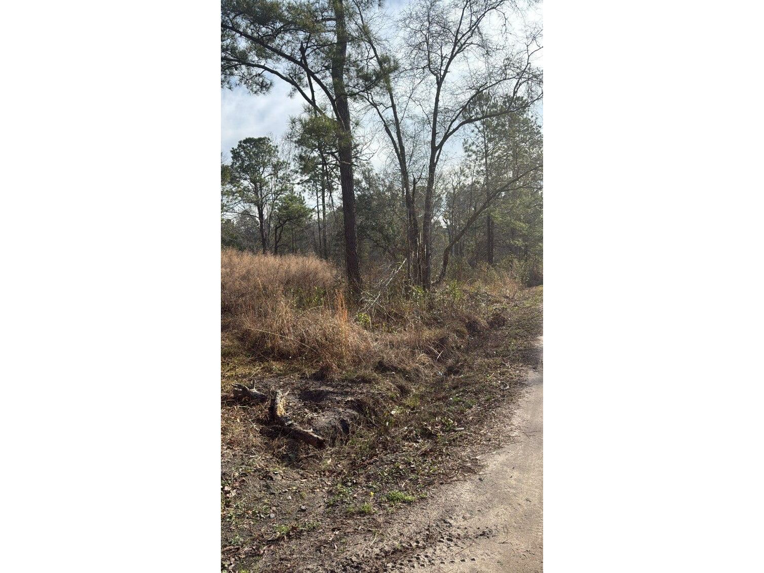 Oliver Dr Pineland SC 299