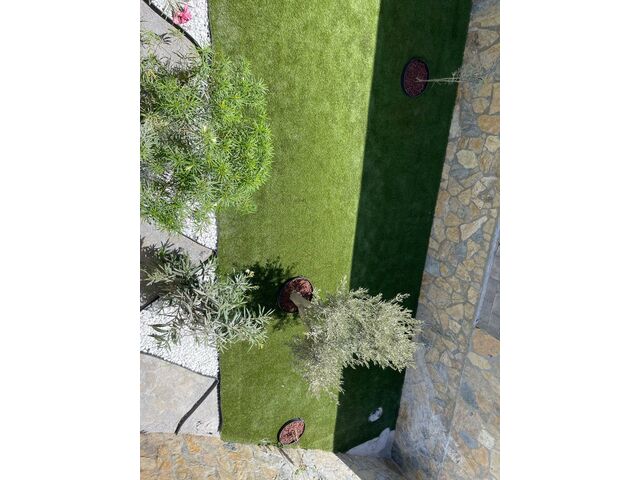 Lower garden