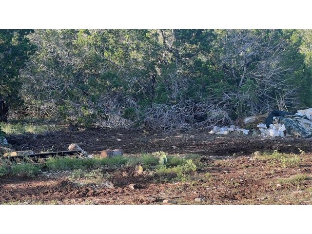 County Road 2475, Hondo, 