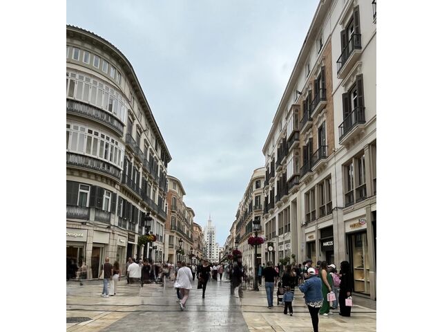 Calle Larios Málaga 