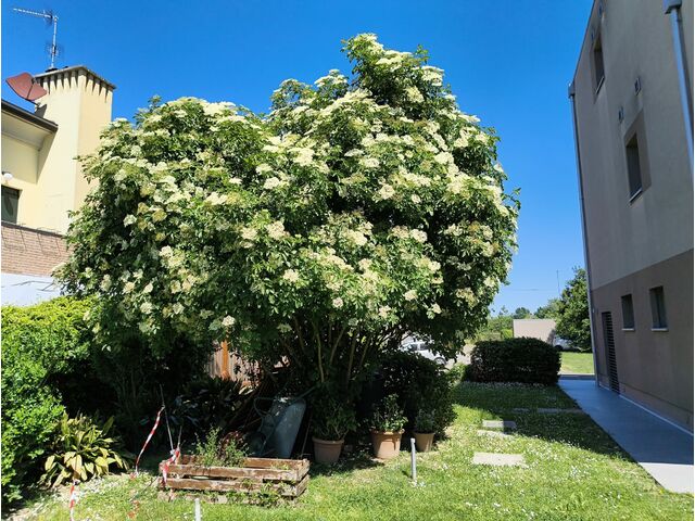 Vista esterna giardino