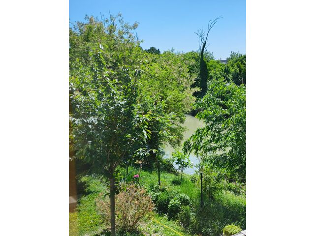 Vista giardino dalla sala