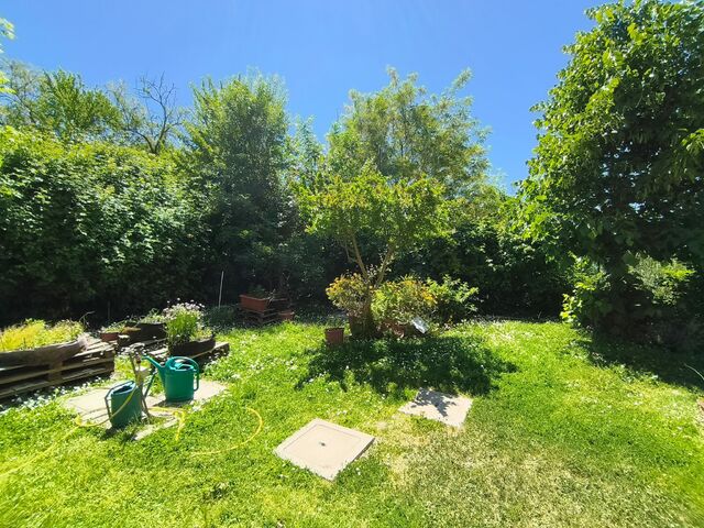 Giardino