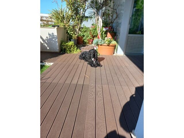 Balcony 3PM