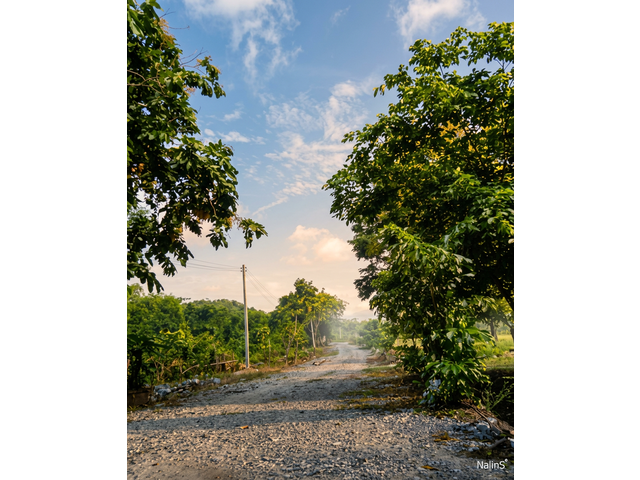 Internal Access Road