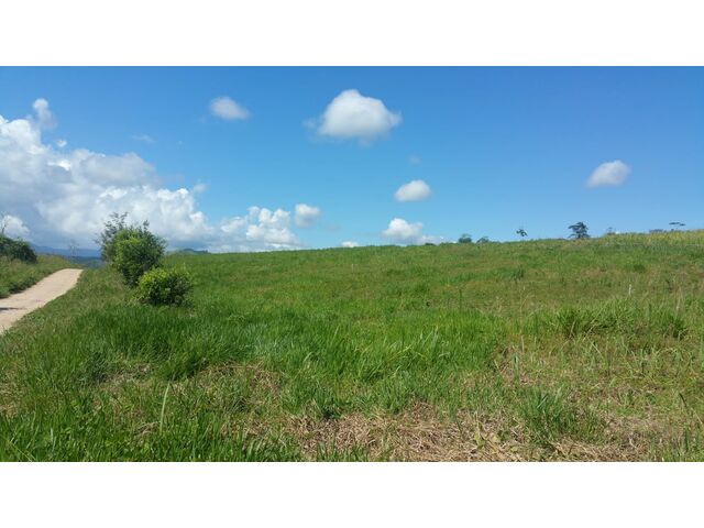 Land with mountain view