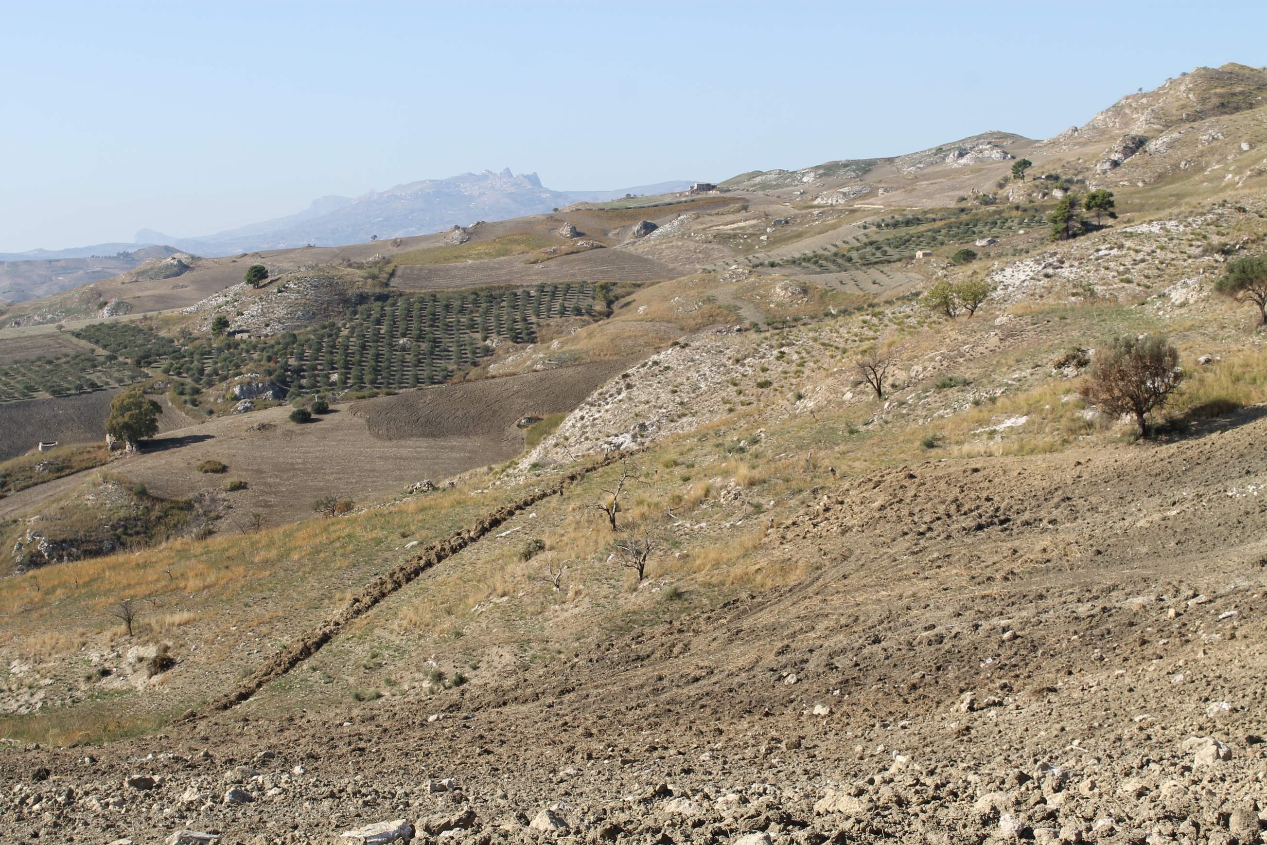 Land in Sicily D'Angelo Cda Ferraria (Italy, Sicilia, Cianciana