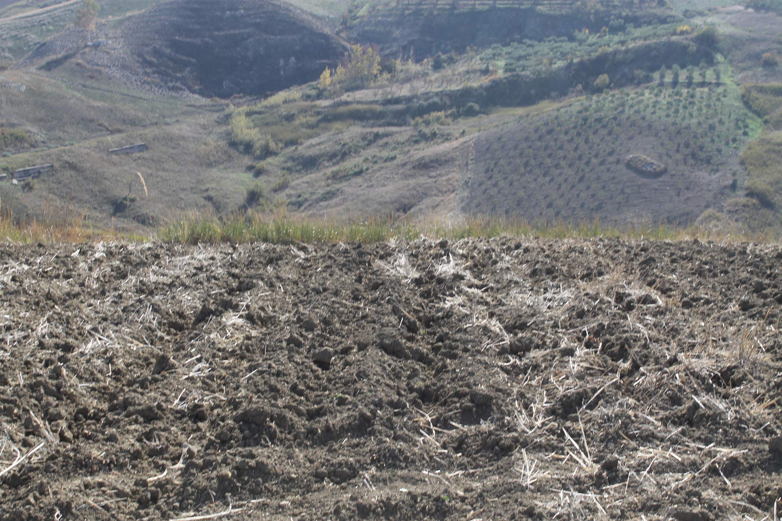 Land in Sicily D'Angelo Cda Finasdi (Italy, Sicilia, Cianciana